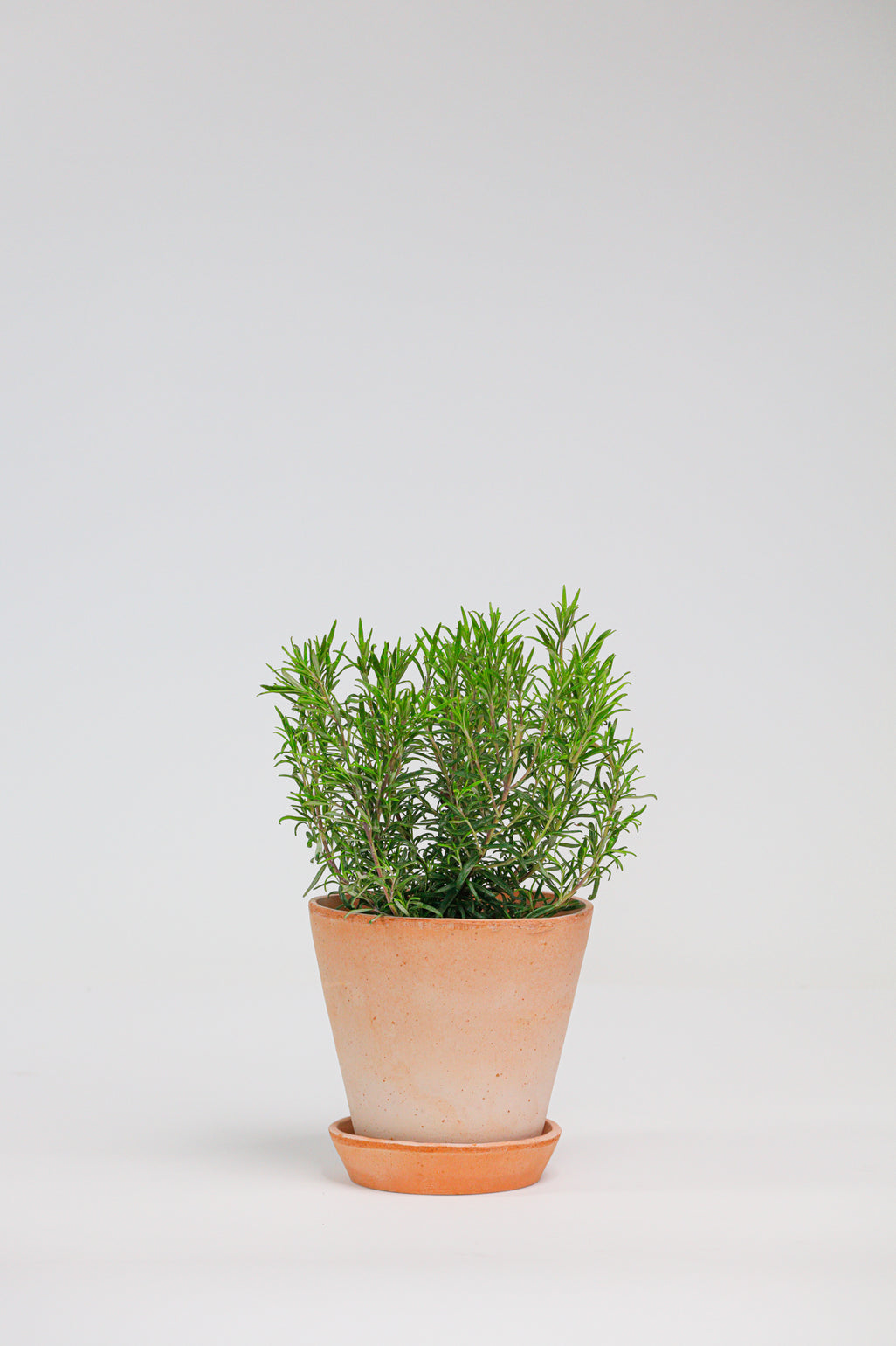 products/SotoProductShootLowQ-1710.jpg